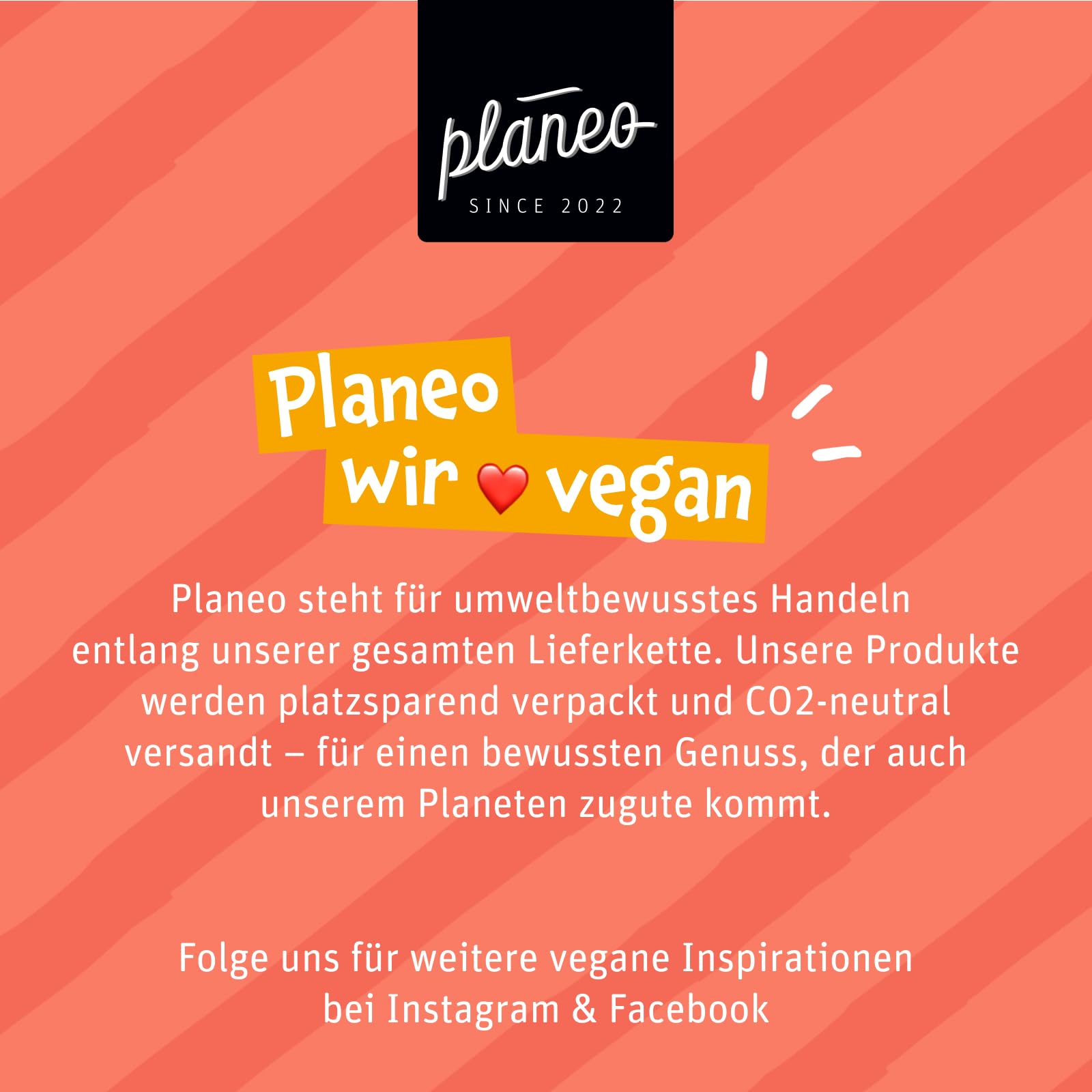 Planeo Tempeh MIX - 2x200g Natur, 2x200g Geräuchert, 2x200g Mariniert - Beste Qualität - Lange, ungekühlt haltbar - Soja aus der EU - Planeo (6 x 200g)
