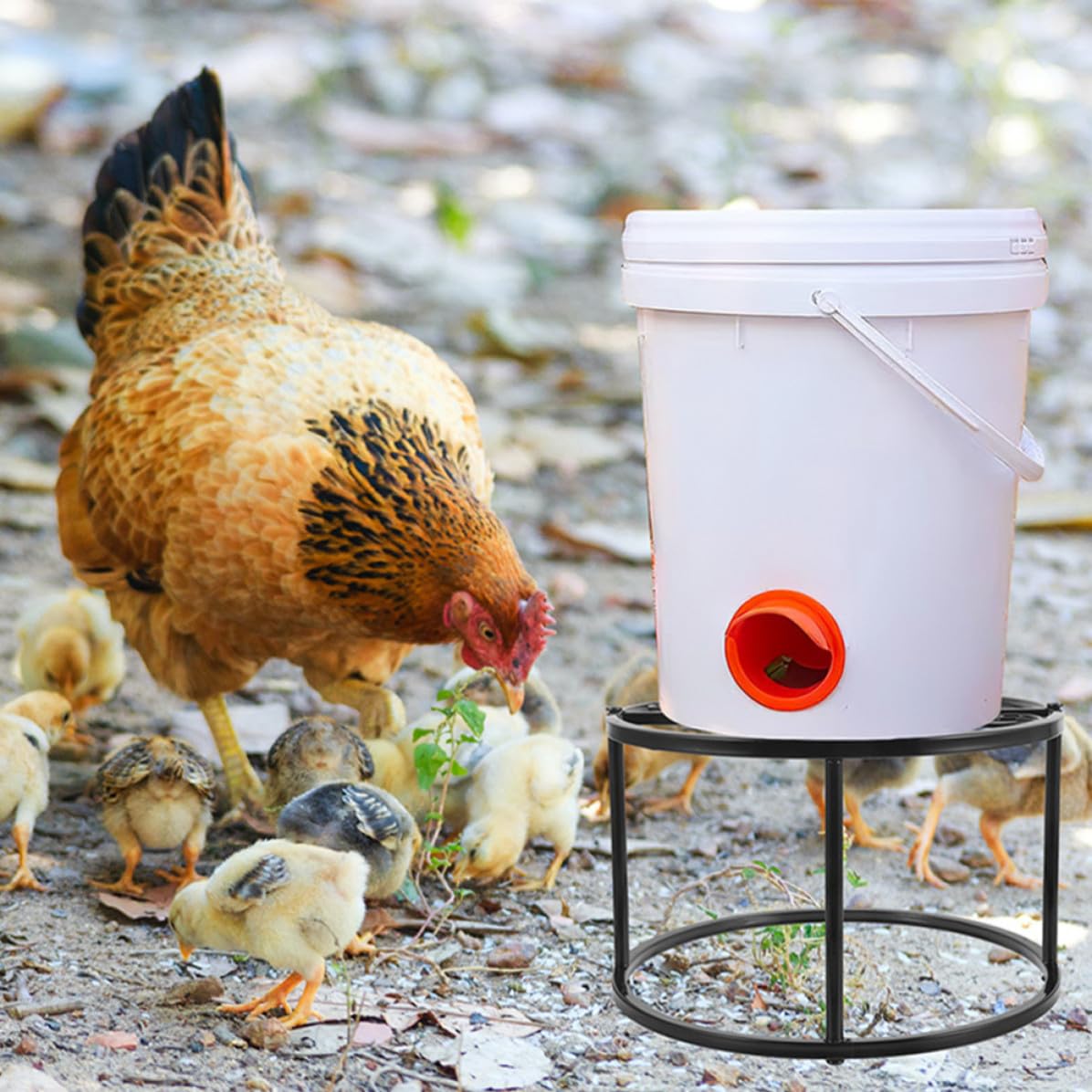 Supporto 2 in Mangiatoia per Abbeveratoio per Galline e Pezzi Ferro Nero | Stabile e Robusto, Resistente alla Ruggine, per Piccoli Animali, Uso nel Pollaio da Esterno