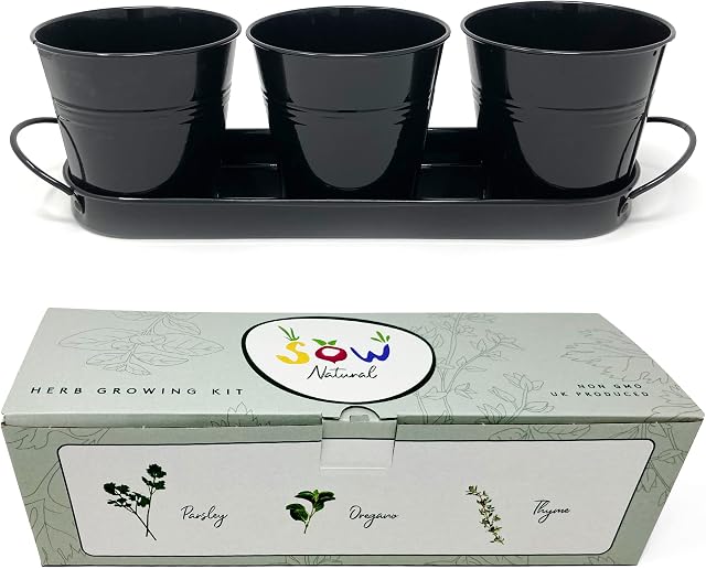 Sow Natural Herb Growing Kit- 3 Metal Plant Pots, Windowsill Planter with Non GMO British Heirloom Herb Seeds. Perfect Grow Your Own Kits for Children & Adults to Plant Indoors & Outdoors (Black)
