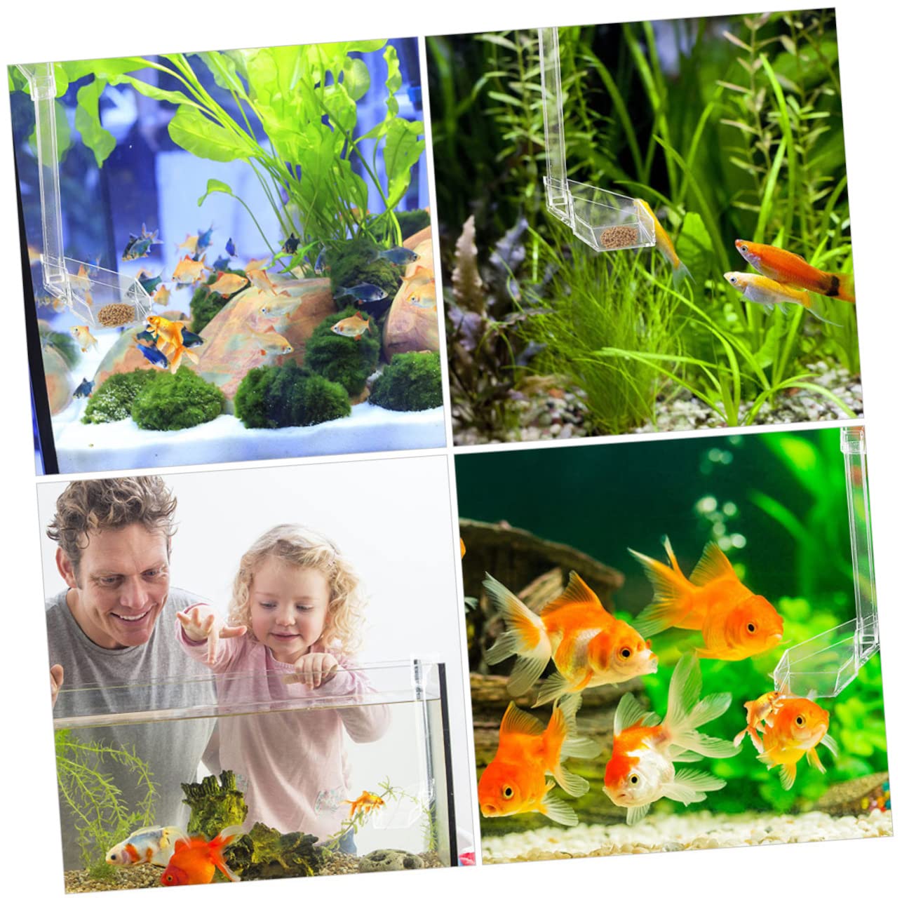 Mipcase 2piezas Comedero para Acuario De Camarones y Peces Diseño Estructural Material Acrílico Alimentación Precisa Desperdicio para Peceras y Acuarios De Agua Dulce
