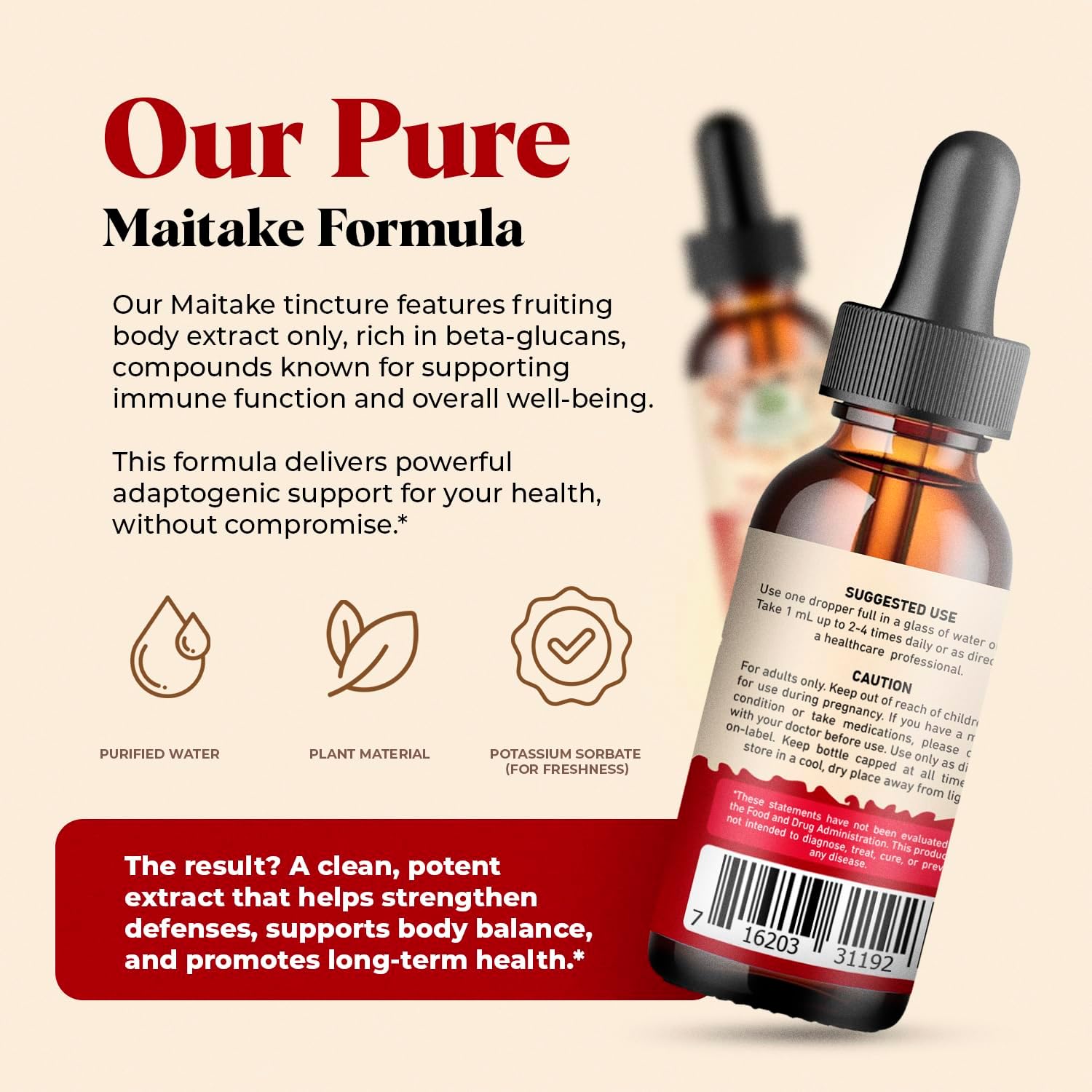 Amazing Botanicals Maitake Mushroom Extract – Liquid Maitake Supplement for Daily Wellness – Vegan, Alcohol-Free, Sugar-Free Drops – 1 fl oz - Image 3