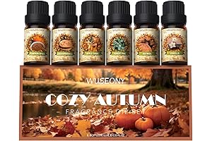 6x10ml - Autumn Fragrance for Diffusers - Essential Oil for Fall Season