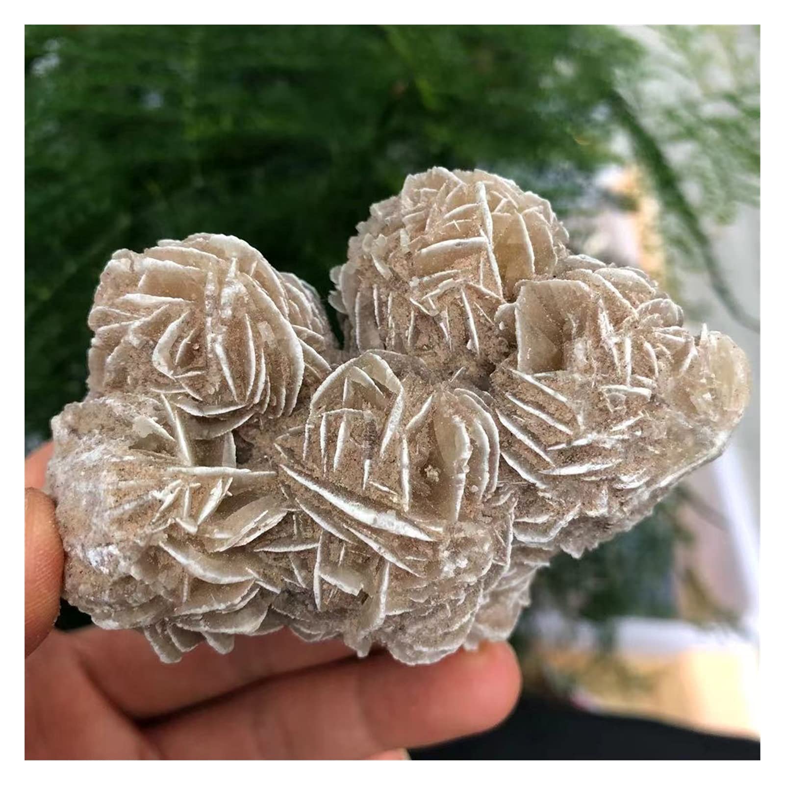 Quarz Natürliche Wüstenrose Selenit Rohkristallstein Mineralprobe Rohprobe Cluster FengShui Dekor Kristalle Voller Textur (Size : 100-200g)