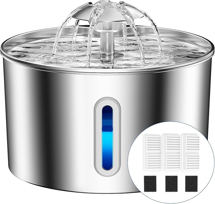 Transparent editorial object representing Lifestyle