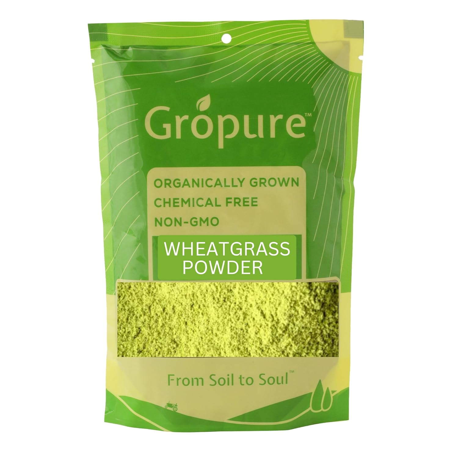 Wheat Grass Powder – 100g I Immunity & Stamina Booster I Natural Antioxidants I Vitamins & Minerals I Body Detox I Wellness Product I Quality SUPERFOODS
