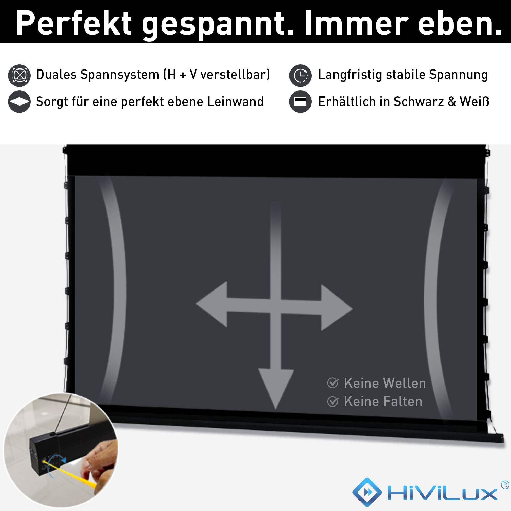 Tension CLR/ALR Motor Canvas Dual Spann System do projektora UST / Laser TV: HiViPrism Cinema HDR wysoki kontrast / 8K/4K/3D (135 cali 16:9 obraz: 300 x 168 cm, czarne)