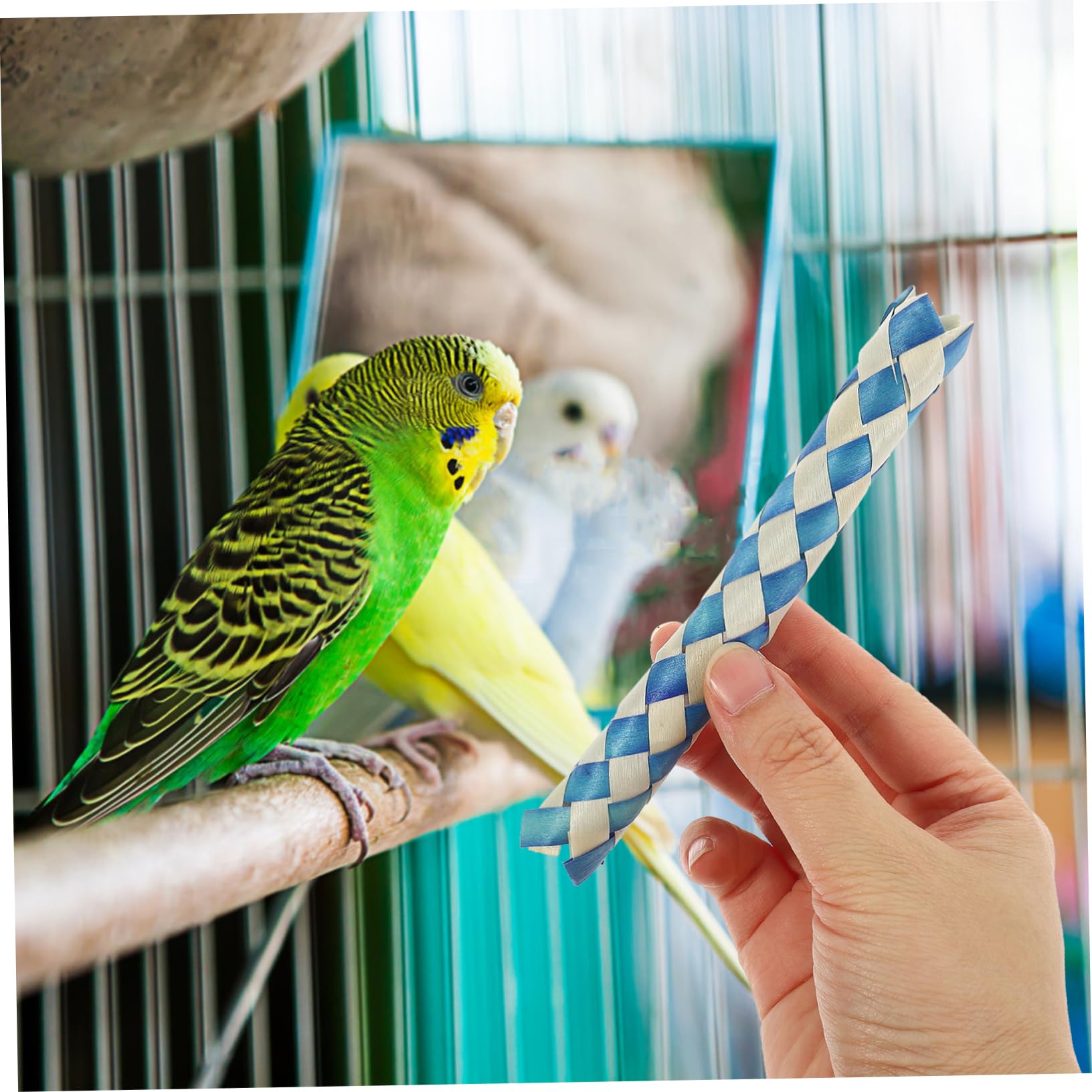 BESPORTBLE Jouets pour Oiseaux Pièces Hachoir À Nourriture pour Oiseaux Jouet À Mâcher en Bambou