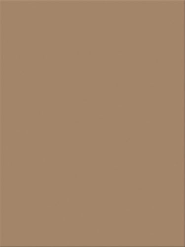 Miniatura 38 de Prang (Formerly SunWorks) - Papel de construcción, marrón claro, 9 x 12 pulgadas, 100 hojas (paquete de 2)