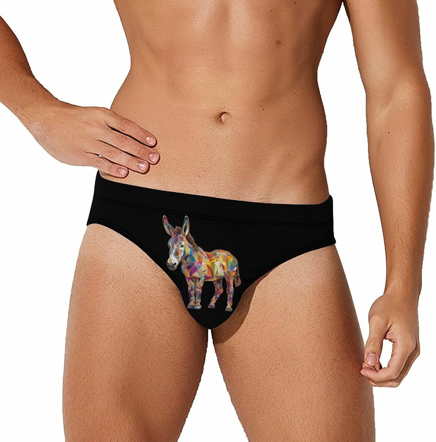 Donkey Geometric Graphic Animal Art Mens Swim Briefs Print Bikini Swimwear Sport Swimsuit Surf Shorts Trunks