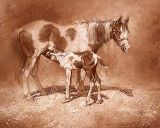 Sienna Paint Poster Print - Jack Sorenson (24 x 18)