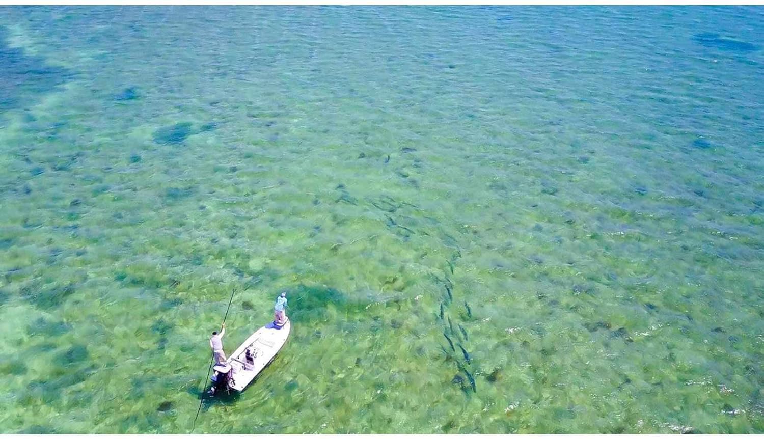 Cortland Tropic Plus Tarpon II