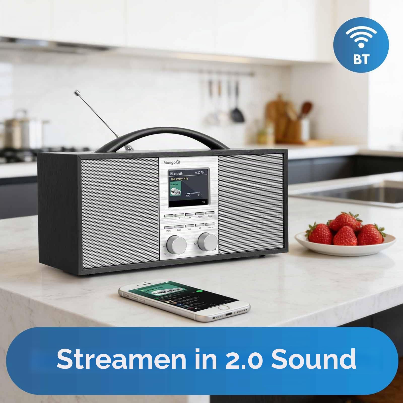 SR40 Internetradio mit Bluetooth, Podcast Player-DAB/DAB+,UKW Stereo Digitalradio, Akku 10+Stunden, 2.0 Lautsprecher,150 Senderspeicher, Radiowecker,Holzgehäuse & Aluminiumgriff-Schwarz