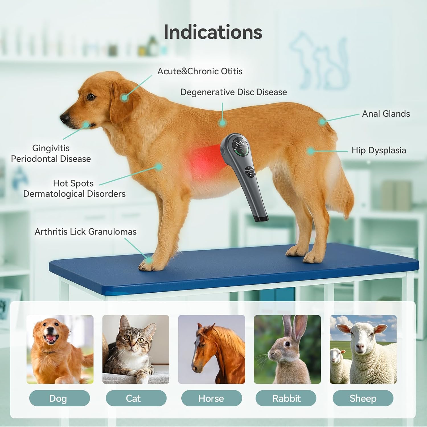 Dog Red Light Therapy Device, 650nm & 808nm Near Infrared Red Light Therapy Wand for Human and Pets, Portable Handheld Red Light Therapy for Joint, Muscle