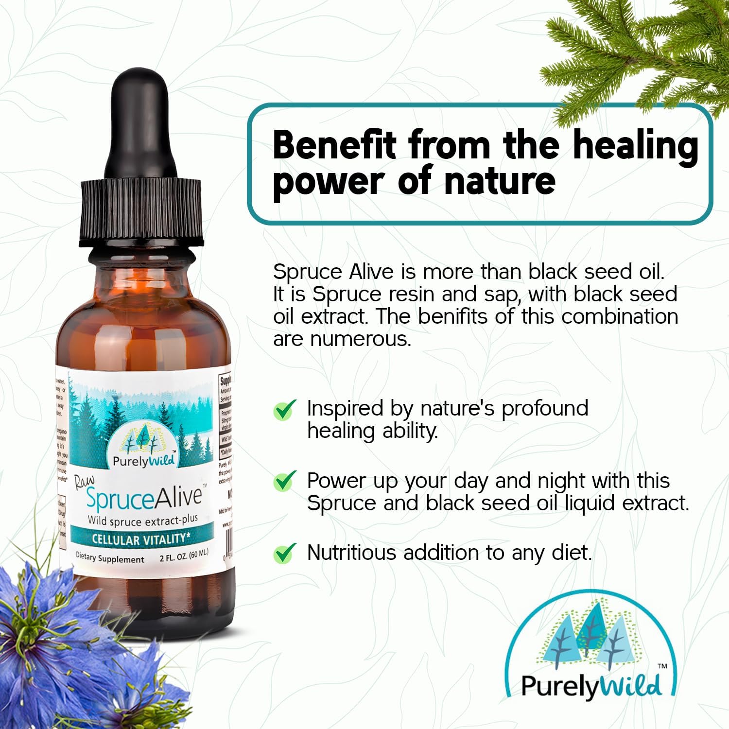 PURELY WILD SpruceAlive - Raw Spruce Resin & Black Seed Oil Complex | Natural Energy & Vitality Support | Wild-Harvested Forest Extract | Dr. Cass Ingram's Original Formula | 2 fl oz with Dropper