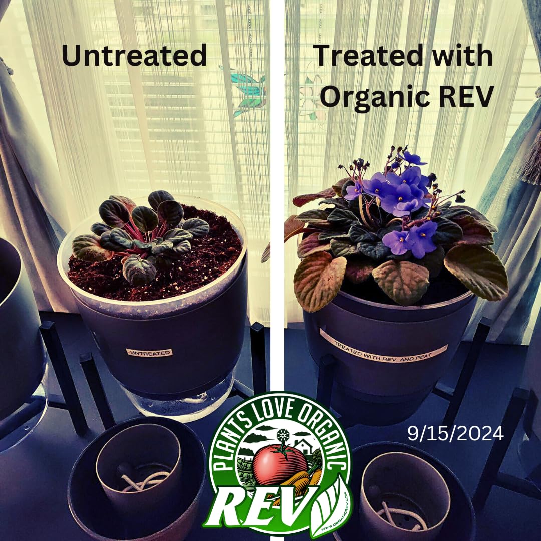 Organic REV Liquid Plant Growth Stimulant – OMRI Listed Organic Soil & Plant Supplement for Vegetables, Flowers & Lawns – Supports Root Development & Nutrient Uptake – 32 Ounce