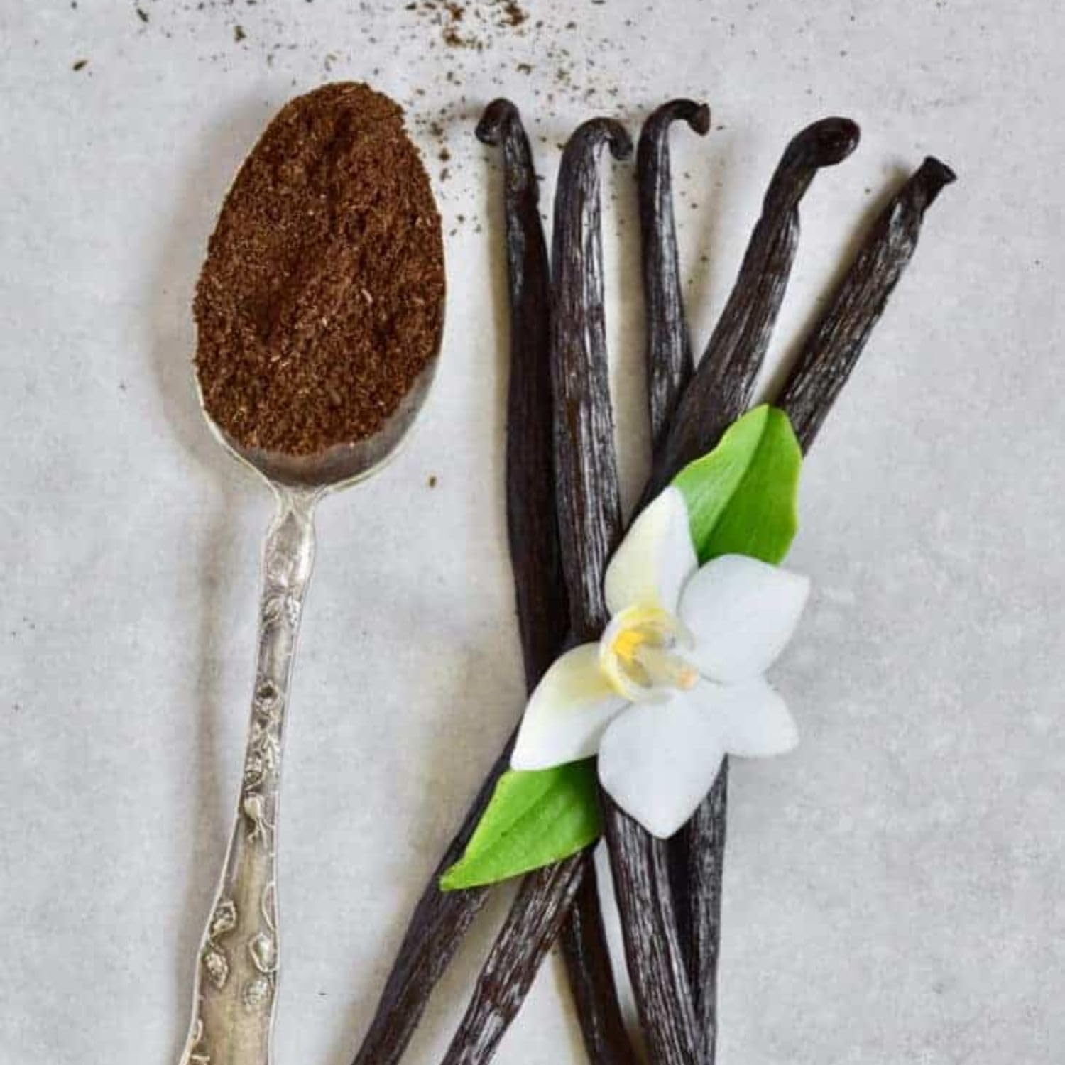 Bongiovanni Bontà Naturali Vanille naturelle en poudre 1 kg