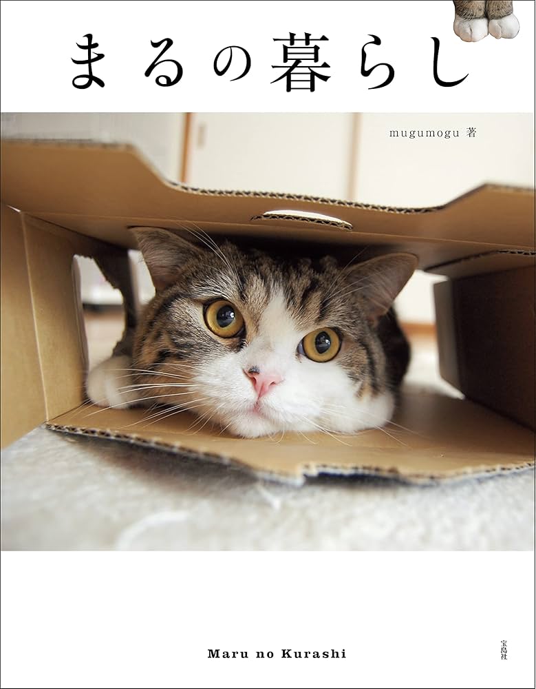 【中古】 別冊ねこぷに猫のあるあるものがたり デレデレ猫号/メディアックス 中古】 別冊ねこぷに猫のあるあるものがたり デレデレ猫号
