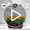 Image of Rectangular Plastic Flower Pot /Planter /Gamla with Bottom Tray upiter Pots for Home, Window Display Plant Container Lightweight, UV Resistant Set, Yellow, 20 inch, 4 Pieces (1 Small Pot Free)