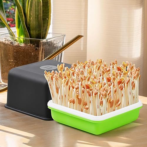 Miniatura 7 de Bandeja de germinación de semillas con tapa, iniciadores de plantas, bandeja de vivero, germinación de pasto de trigo, propagador cultivador para