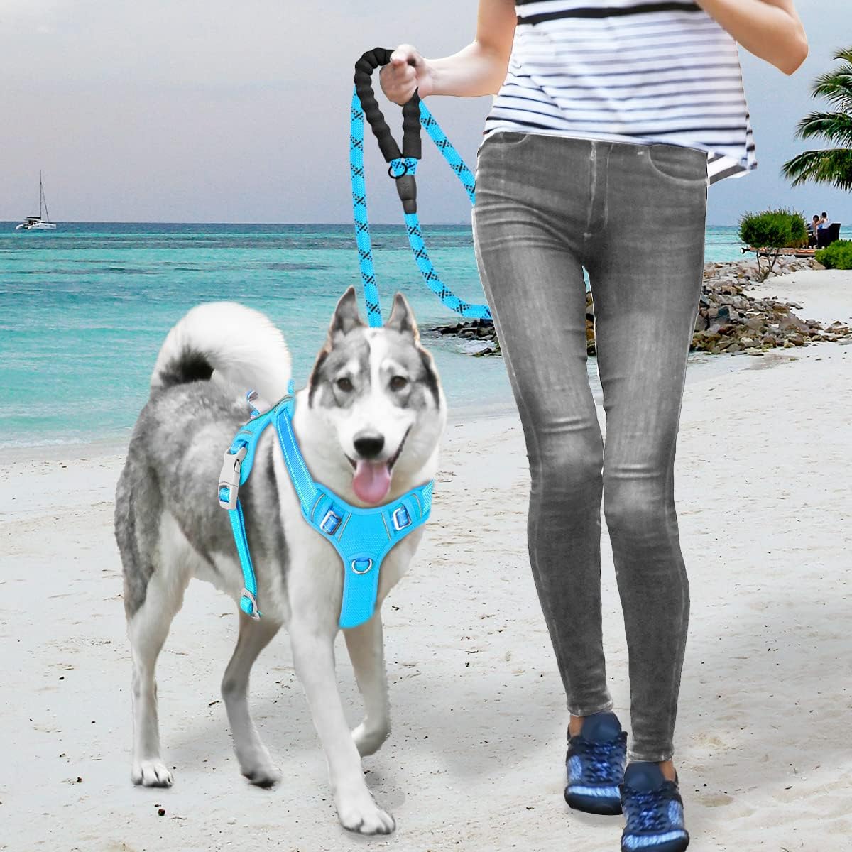 BARKBAY No Pull Dog Harness Large Step in Reflective Dog Harness with Front Clip and Easy Control Handle for Walking Training Running with ID tag Pocket(Blue,XL) X-Large Blue