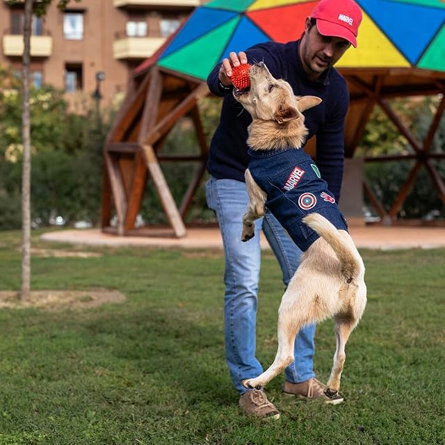 Foto 3 de 8 de Cerdá - For Fan Pets - Chaqueta para Perros de Tela Vaquera Fabricada en Algodón al 65% y Poliéster al 35%