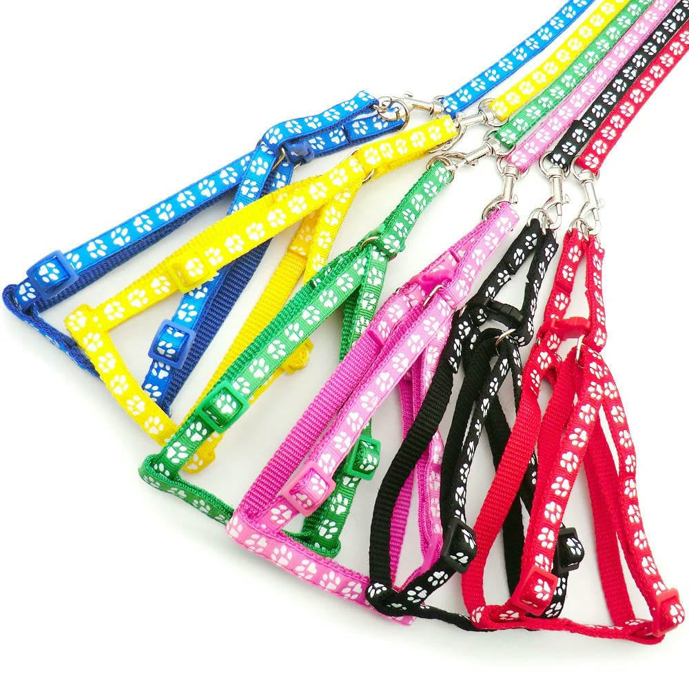 ZBDP Lot de 24 harnais réglables colorés pour animal domestique Laisse pour chien et chat