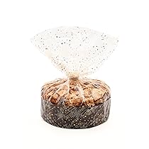 Italpak Sacchetti Trasparenti per Alimenti ‘Dolceneve’, Buste Panettone, Dolci, Torte, Regali, Sacchettini Natalizi, Polypropylene, Bianco, Oro, 35×50 cm, 50 unità