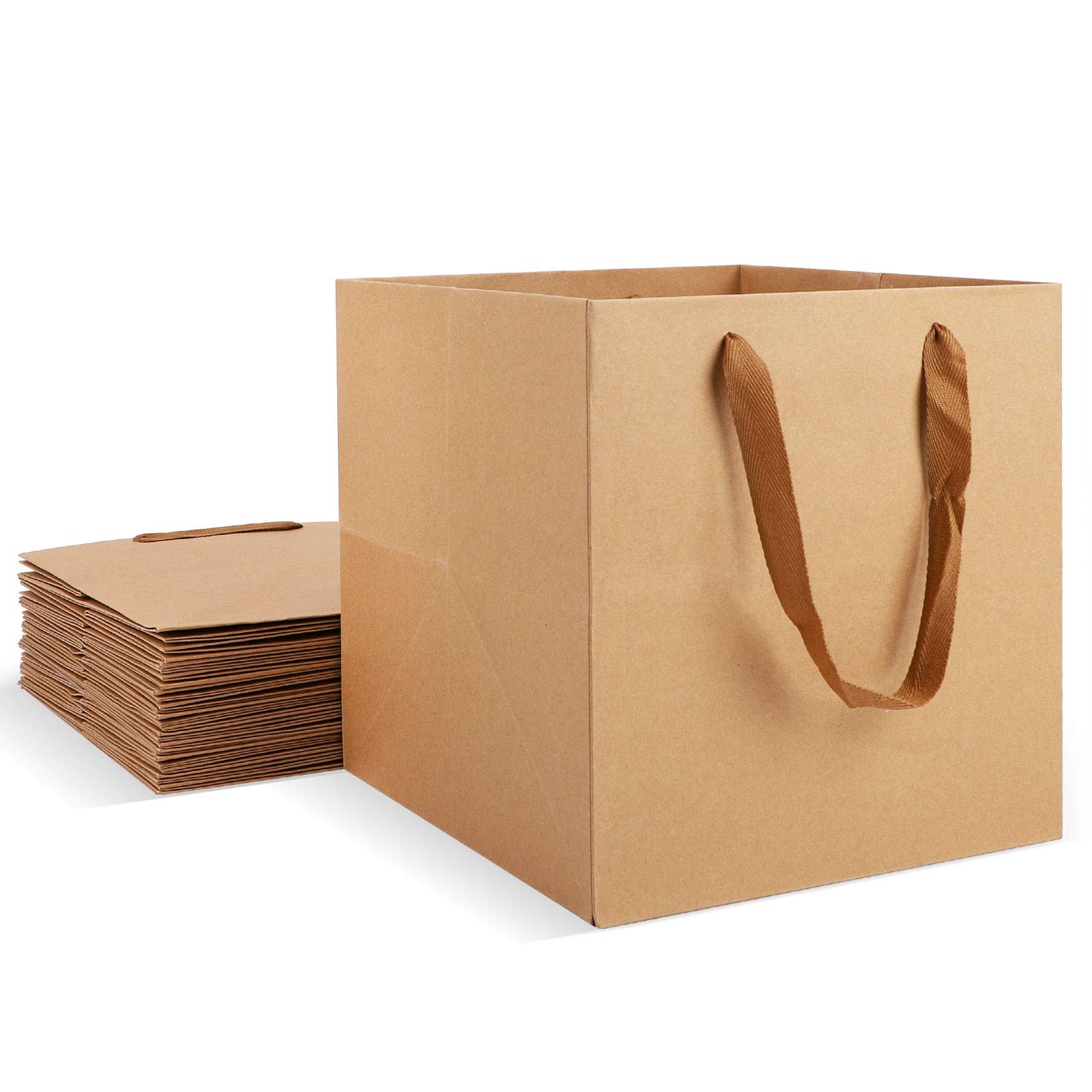 EUSOARKraft Bags with Handles, 10x10x10" 20pcs Recyclable Bags with Ribbon Handles, Gift Bags, Business Packaging Bags, Handmade DIY Bags, Reusable Kraft Bags, Wedding Bags, Party Favor Bags