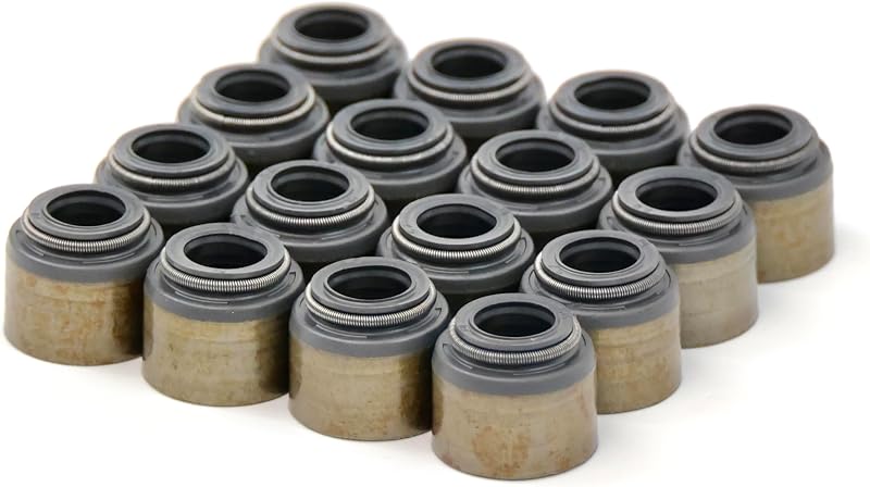 Kit de Retentores de Válvulas BTR Brian Tooley Racing VS LS KIT para Motores LS com Molas Duplas – 16 unidades