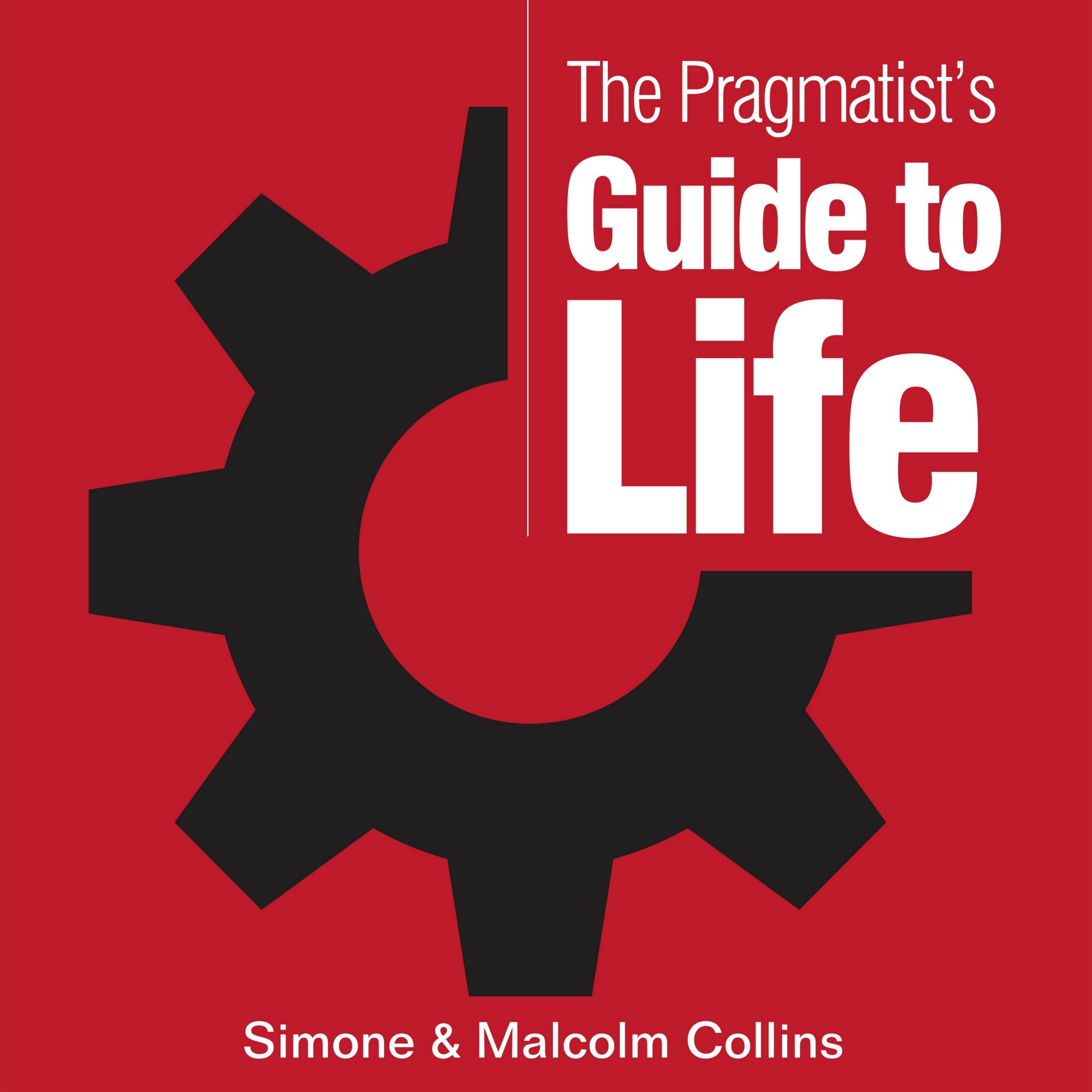 Cover art for The Pragmatist's Guide to Life