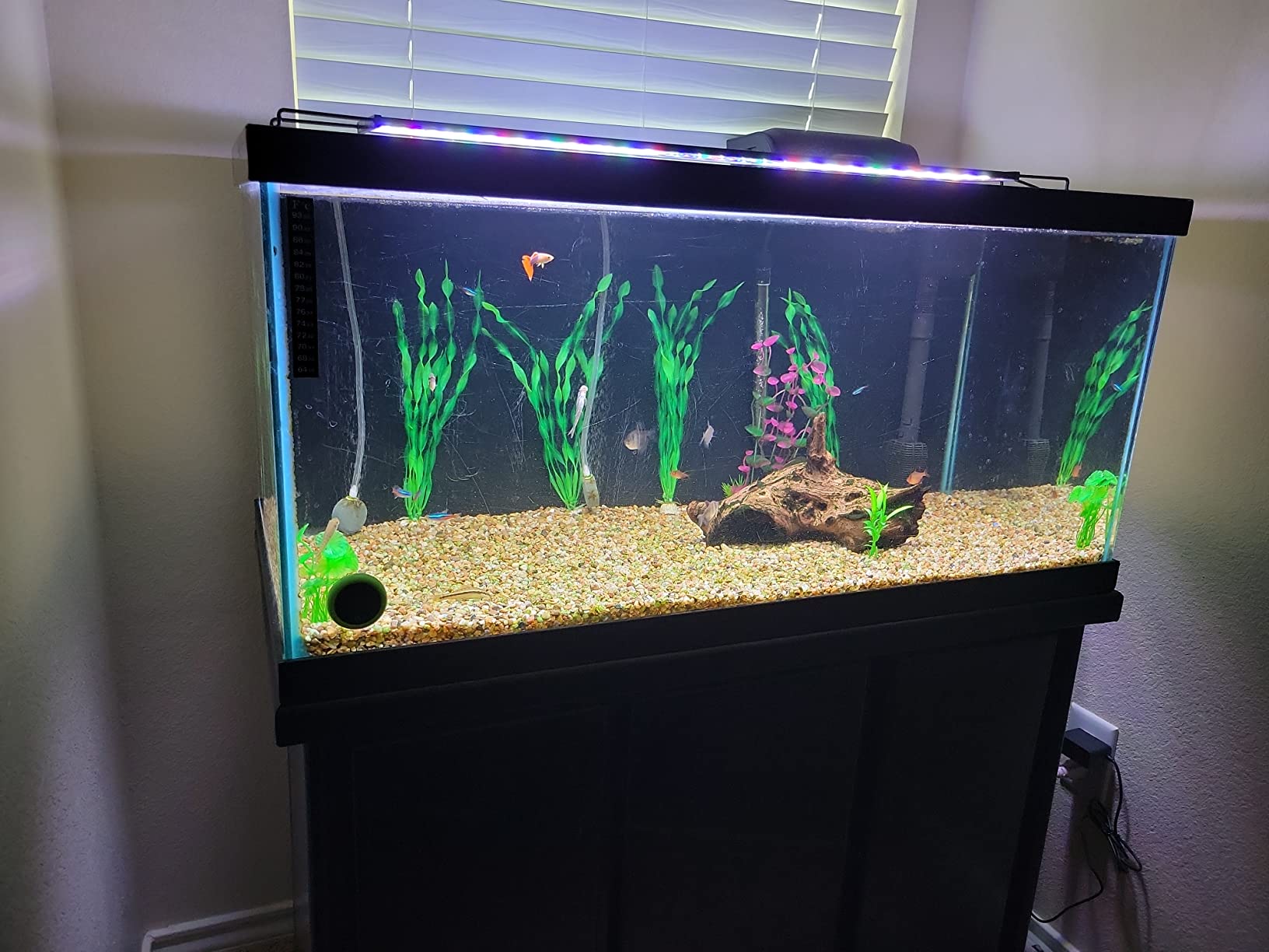 4/mo Finance HITOP Mini Submersible Aquarium Heater 25W 50W 100W