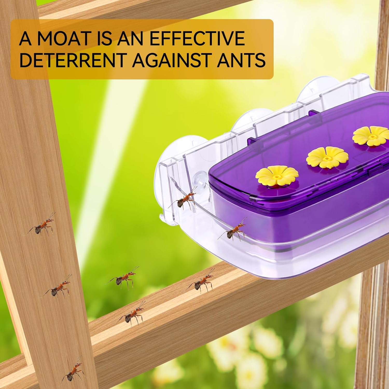 Window Hummingbird Feeder with Strong Suction Cup, Plastic Hummingbird Feeders for Outdoors, Built-in Moat,Easy to Clean and Refil (10oz) (1, Purple) - Image 5