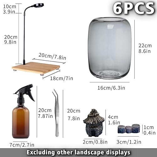 Miniatura 2 de SARUFO Terrario de plantas de vidrio de 6.3 x 8.6 pulgadas, maceta de aire suculenta, helecho, musgo, jarrón de micropaisaje para el hogar, jardín,