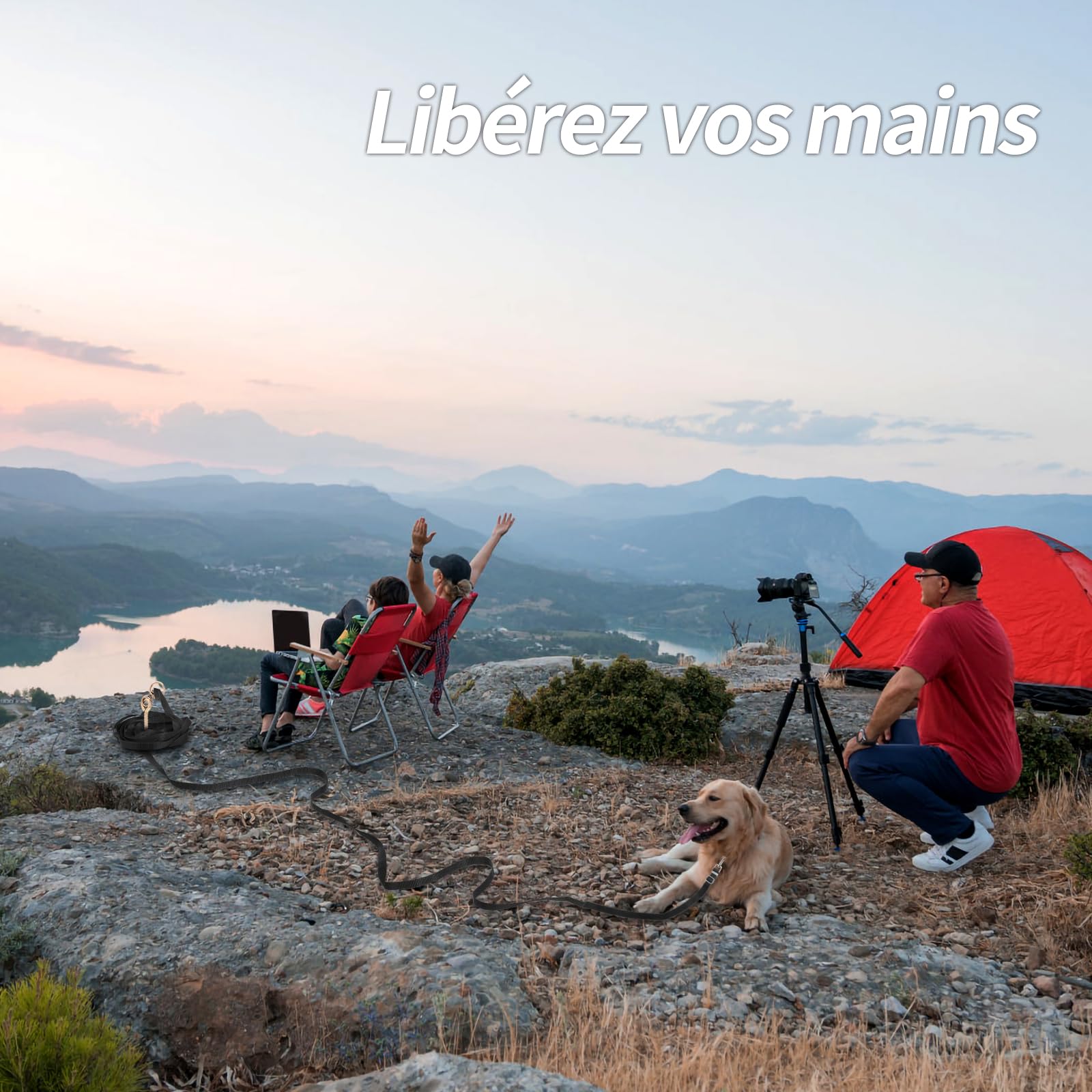 Longe pour Chien 10m Ajustable - Laisse avec Poignée Rembourrée et Rac de Rangement - Pour Chiens de Petite à Grande Taille
