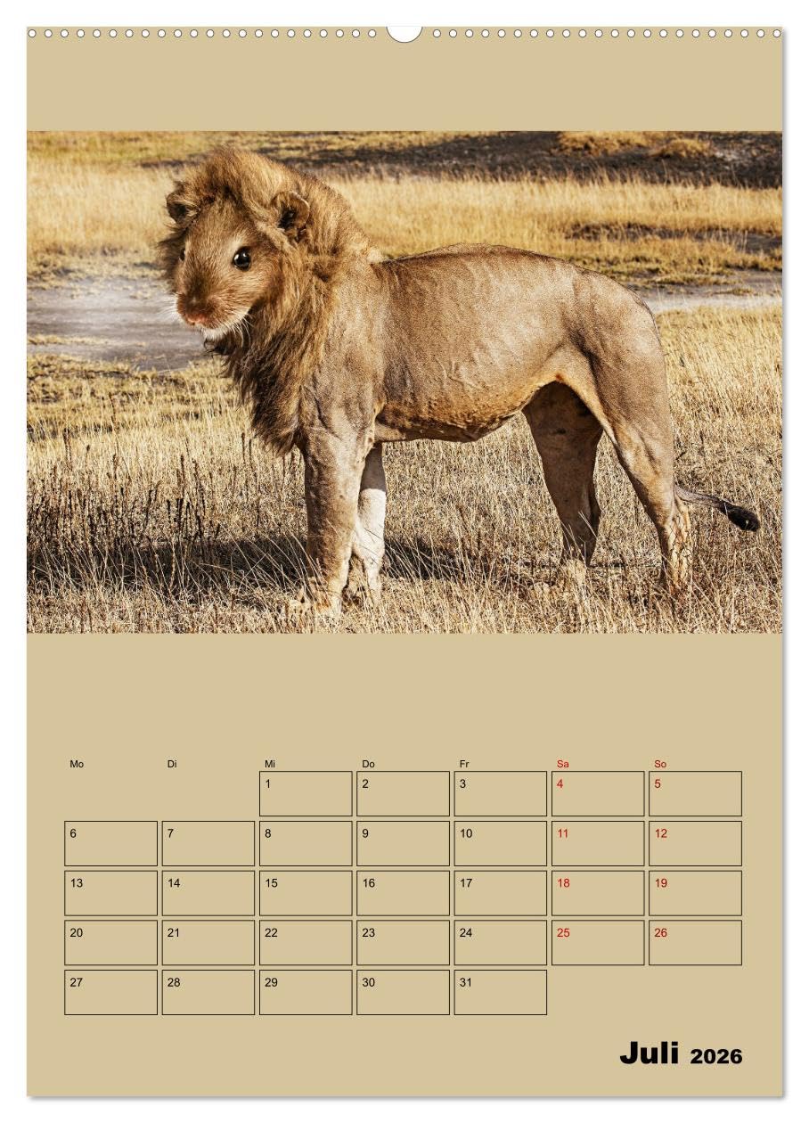 Seltsame Tiere - da stimmt doch was nicht... (hochwertiger Premium Wandkalender 2026 DIN A2 hoch), Kunstdruck in Hochglanz: Fantasiewesen, geboren aus erstaunlichen Bildmanipulationen (CALVENDO Tiere)