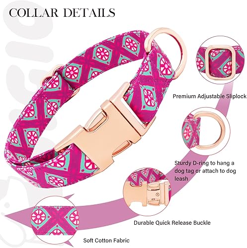 Miniatura 4 de HSIGIO Collar de algodón suave para perro, ajustable y duradero, bonito diseño floral con hebilla de liberación rápida, regalo para perros pequeños,