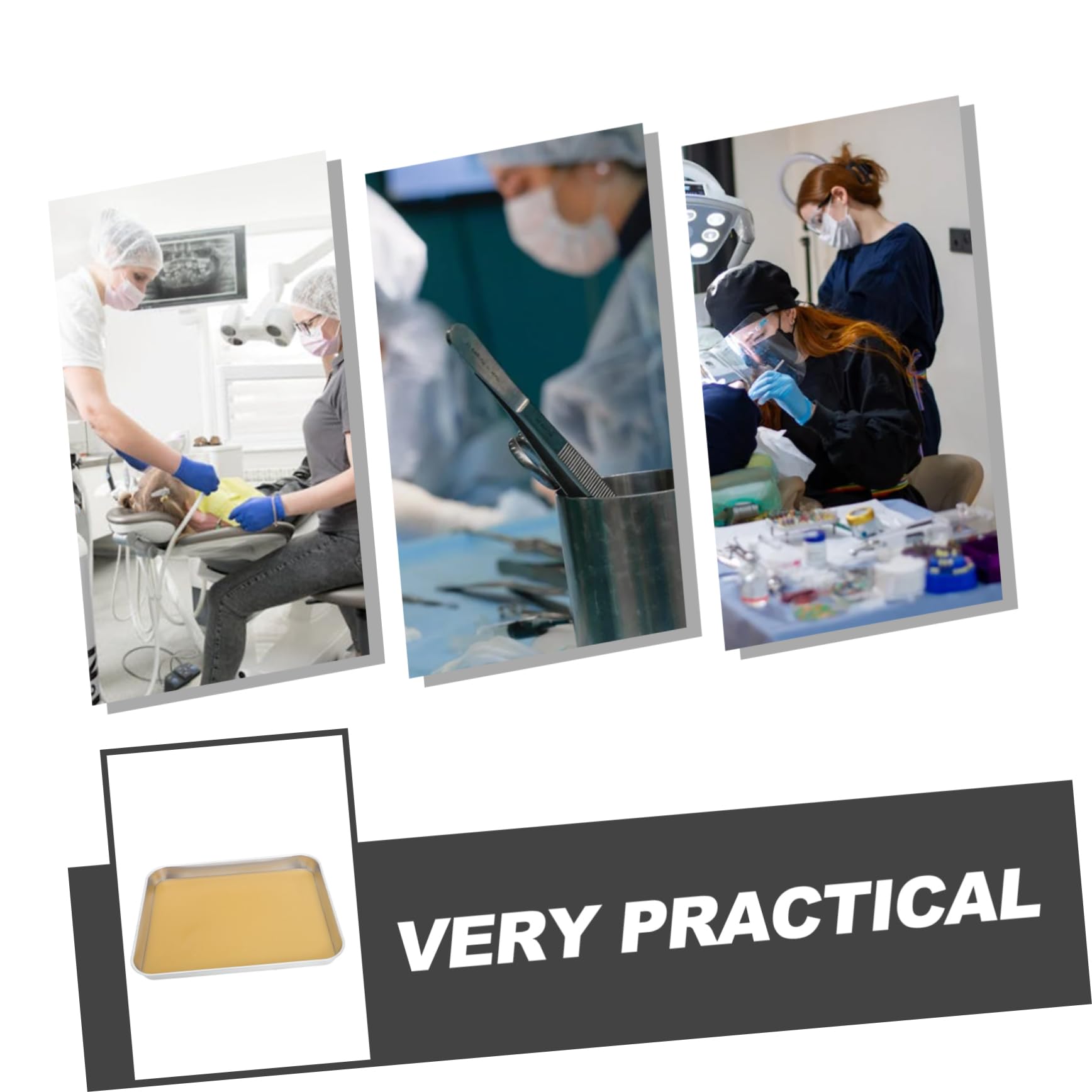 Acier Plateau de Dissection Inoxydable en Étudiants en Biologie