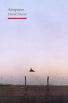 Airspaces book cover