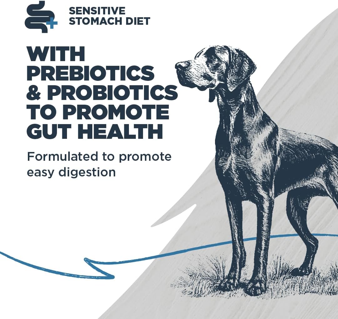 Blackwood Sensitive Skin & Stomach Dog Food Catfish & Rice 10lb Pre/Probiotics