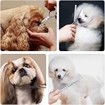 Ciseaux de grooming pour chiens avec conseils ronds de sécurité, Kit de trempage pour animaux de compagnie en titane de grande qualité, Poignées minces professionnelles, Ciseaux droits avec peigne pour chiens et chats (ensemble de 3)