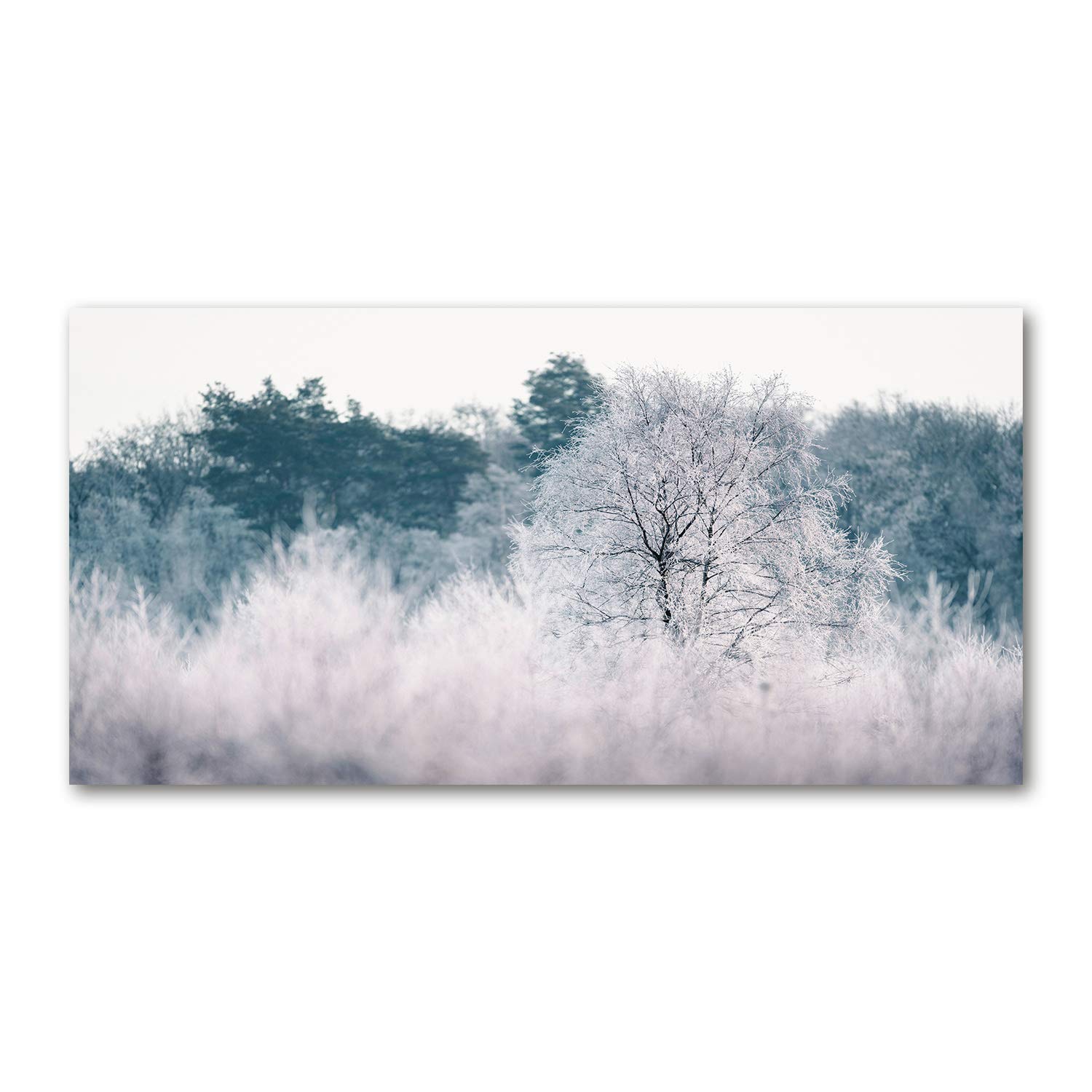 Tableau sur verre panoramique 120x60 pour habiller un grand mur vide gris