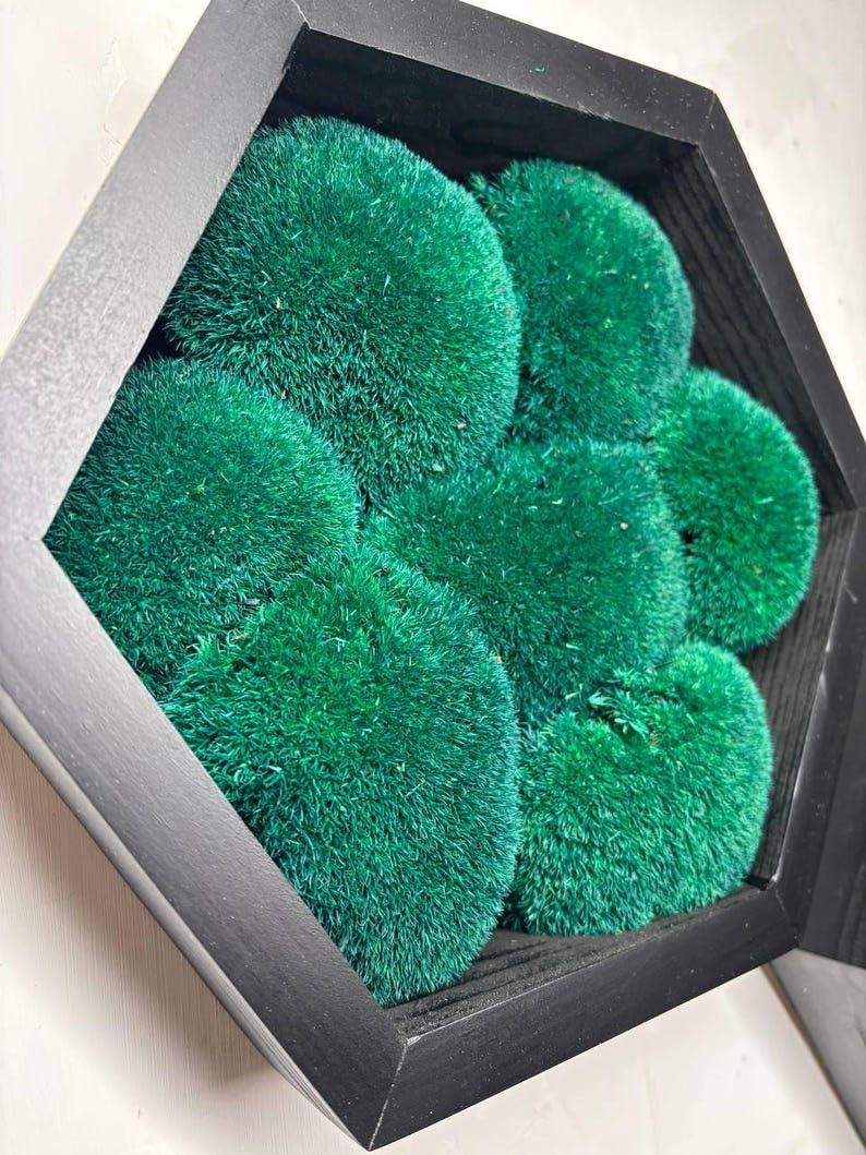 Moss Hexagons