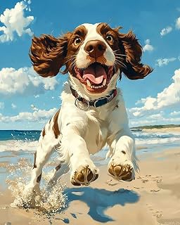 Springer Spaniel Dog on The Beach Paint by Numbers Kit for Adults Beginner, Cute Dog Adult Paint by Number Kits on Canvas, DIY Acrylic Watercolor Oil Paint by Number for Adults Home Decor 16" x 20"