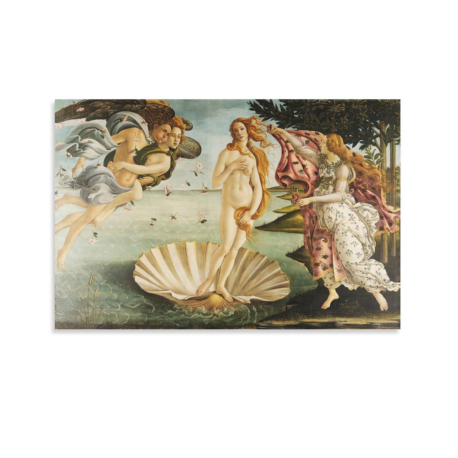 Amazon.com: The Birth of Venus (2) by Sandro Botticelli, World 