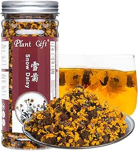 Wild Yellow Chrysanthemum