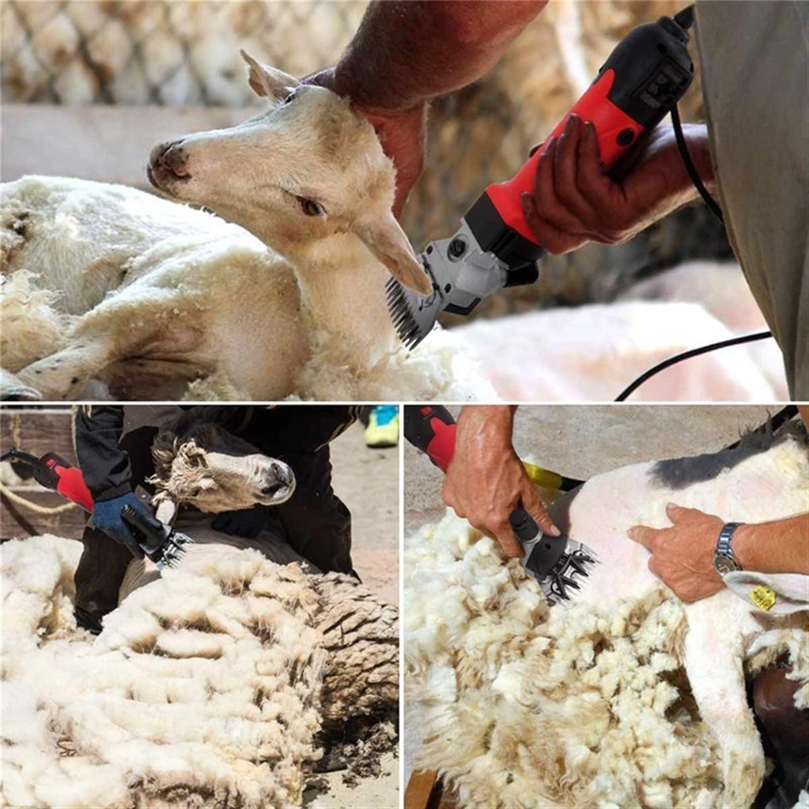 Tosatrice elettrica Resistente Regolabile da 1500 W for la rasatura della Lana di Pelliccia in Pecore, capre, bovini e Altri Animali Domestici da Allevamento