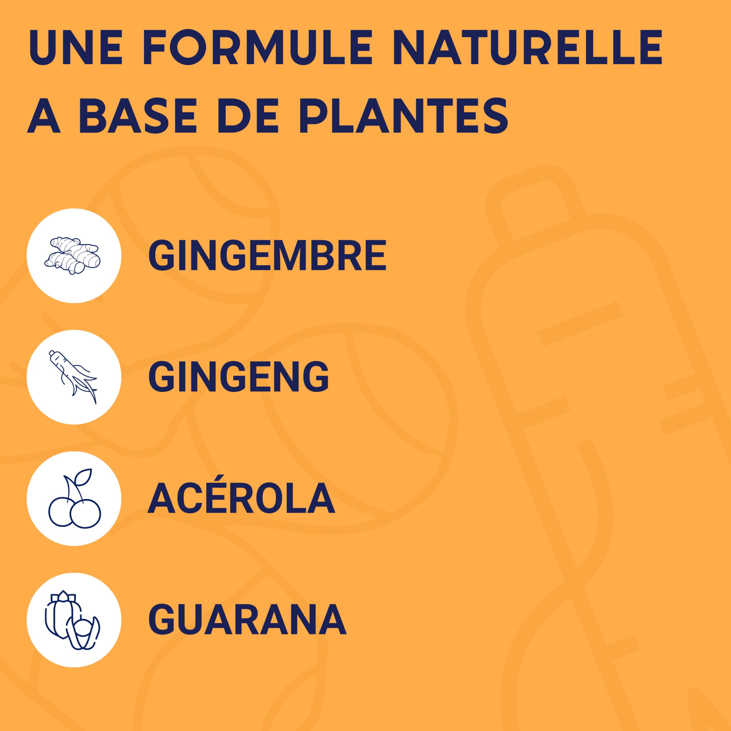 FORMULE BOOST BIO | 4G : Ginseng, Gelée royale, Guarana, Gingembre + Acérola | Complement Alimentaire Anti-Fatigue | Immunité et Energie | Fabriqué en France