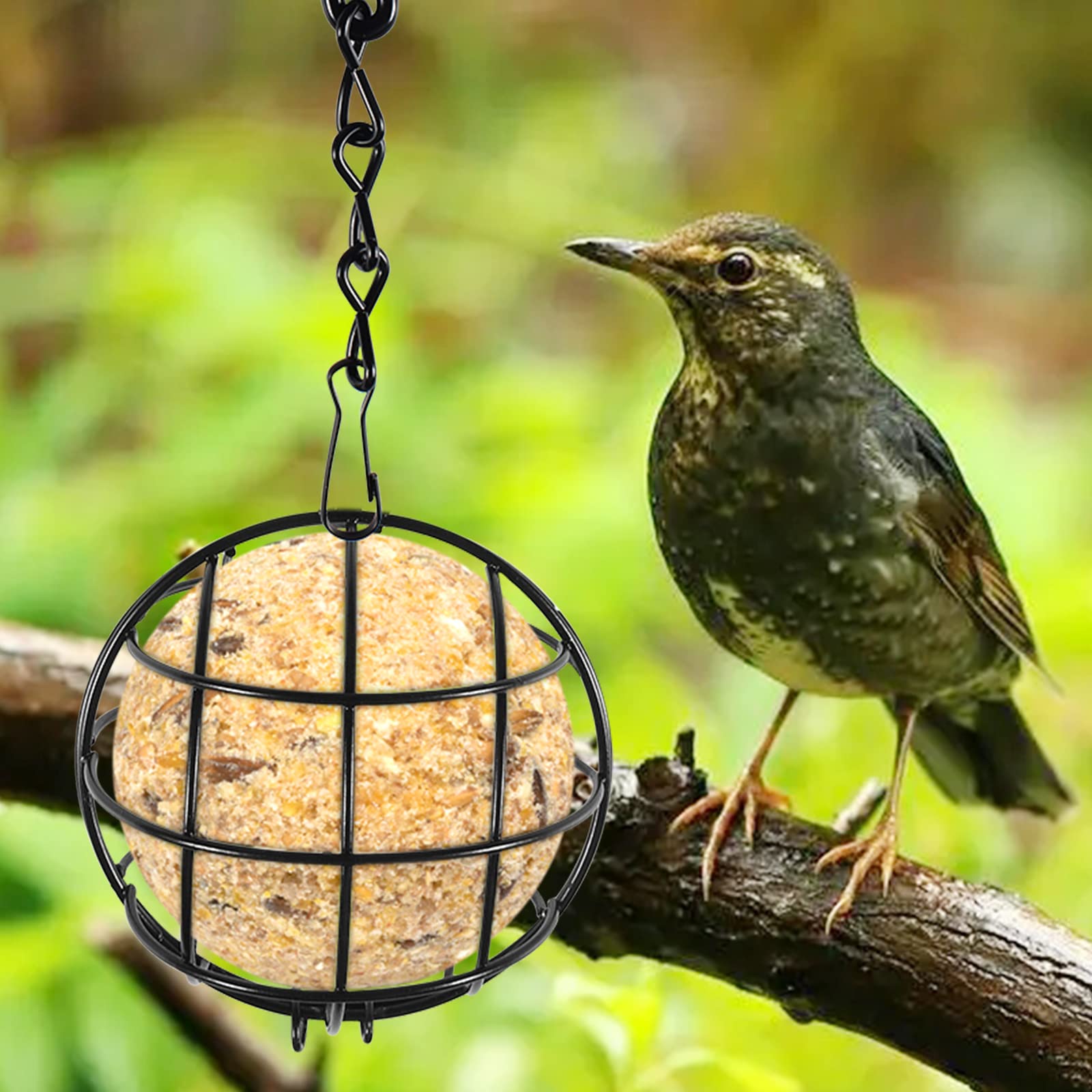 Mangiatoia Uccelli In Metallo - 2 Pezzi Per Palle Di Grasso Con Gancio