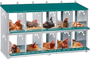 Chicken Nesting Box: 10 Room Metal Nesting Boxes