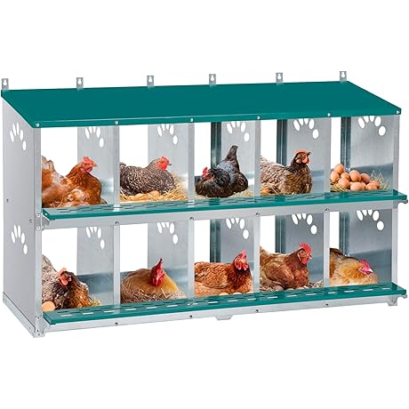 Chicken Nesting Box: 10 Room Metal Nesting Boxes